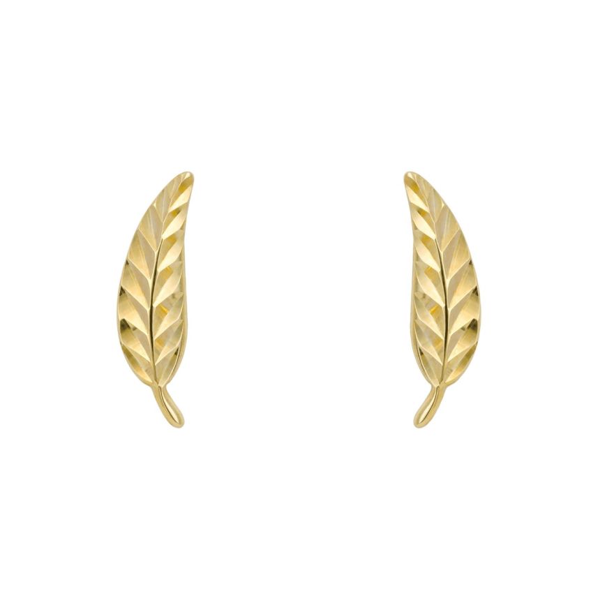 9ct Yellow Gold Feather Stud Earrings GE2431