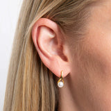 9ct Yellow Gold Freshwater Pearl Twist Earrings GE2541W