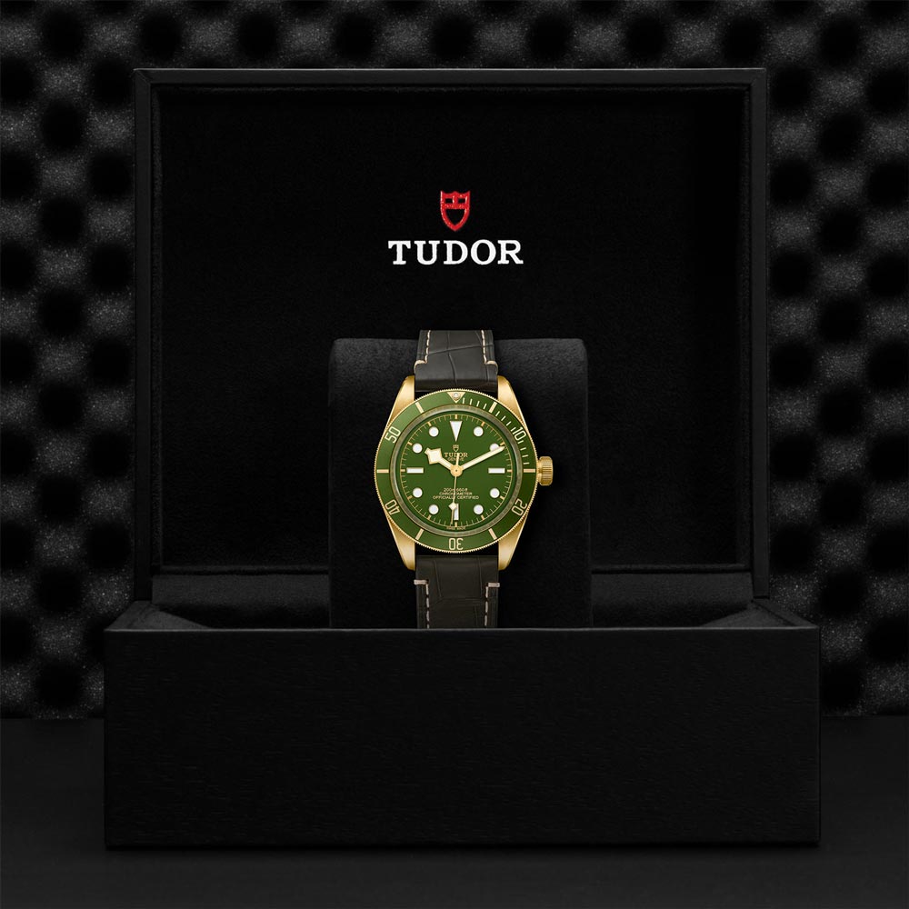 TUDOR Black Bay 58 18ct Gold 39mm Green Dial Watch M79018V-0001