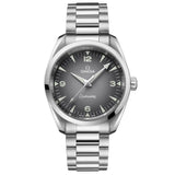 OMEGA Seamaster Railmaster 38mm Grey Dial Automatic Watch 23510382006001