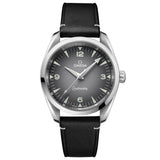 OMEGA Seamaster Railmaster 38mm Grey Dial Automatic Watch 23512382006001