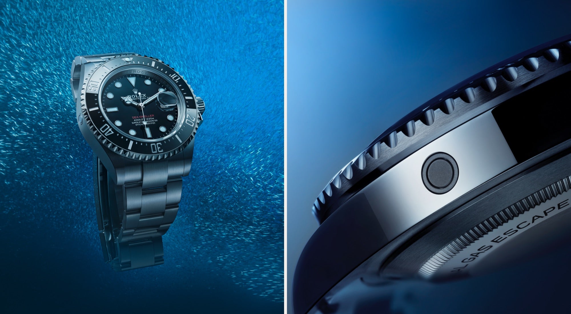 Rolex sea-dweller model m126600-0002 The new face of diving landscape image