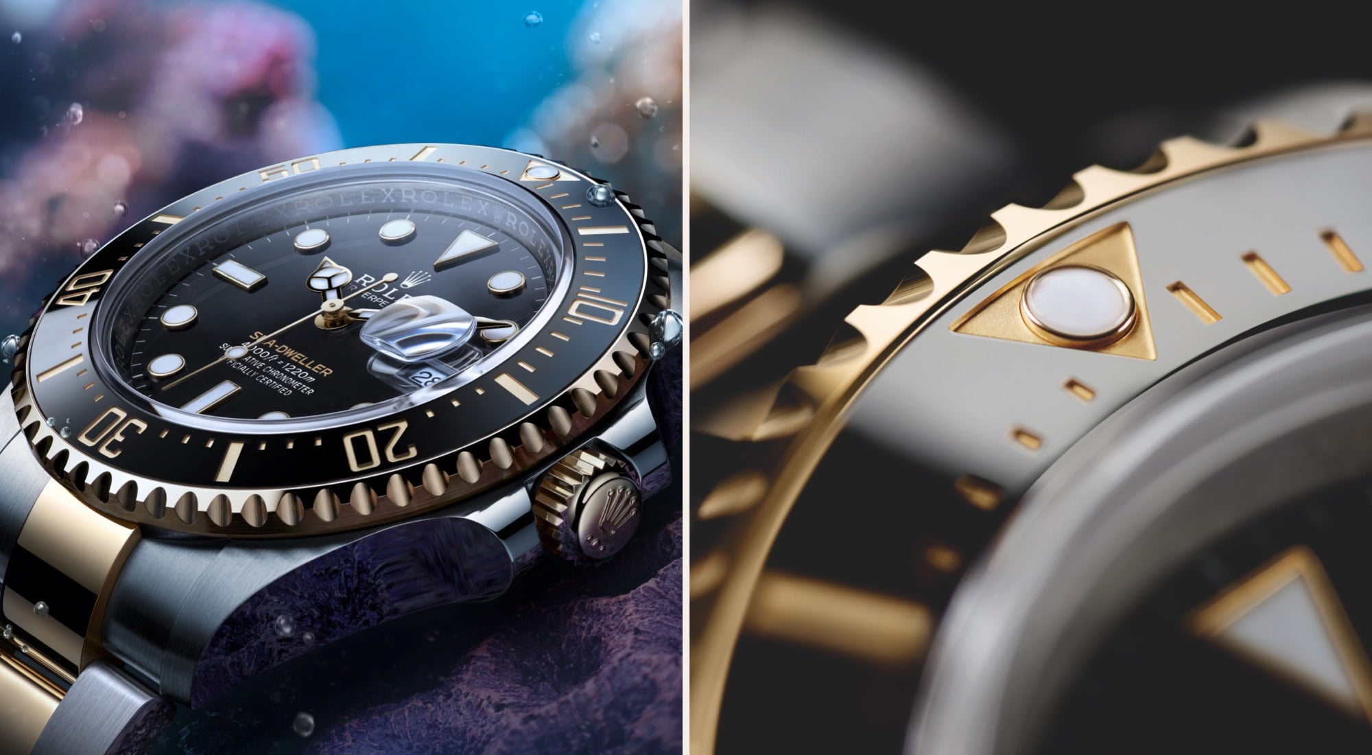 Rolex sea-dweller model m126603-0001 Reinforced waterproofness landscape image