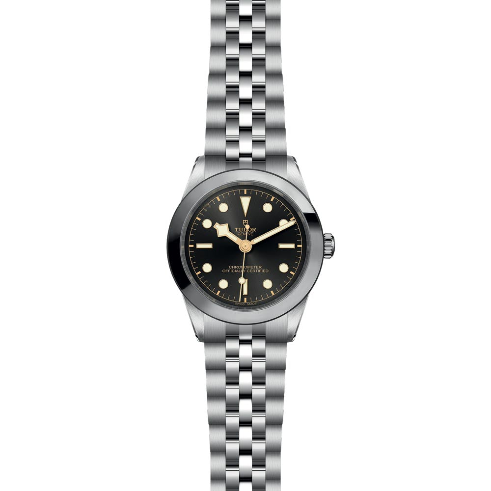 TUDOR Black Bay 39 Anthracite Dial Watch M79660-0001