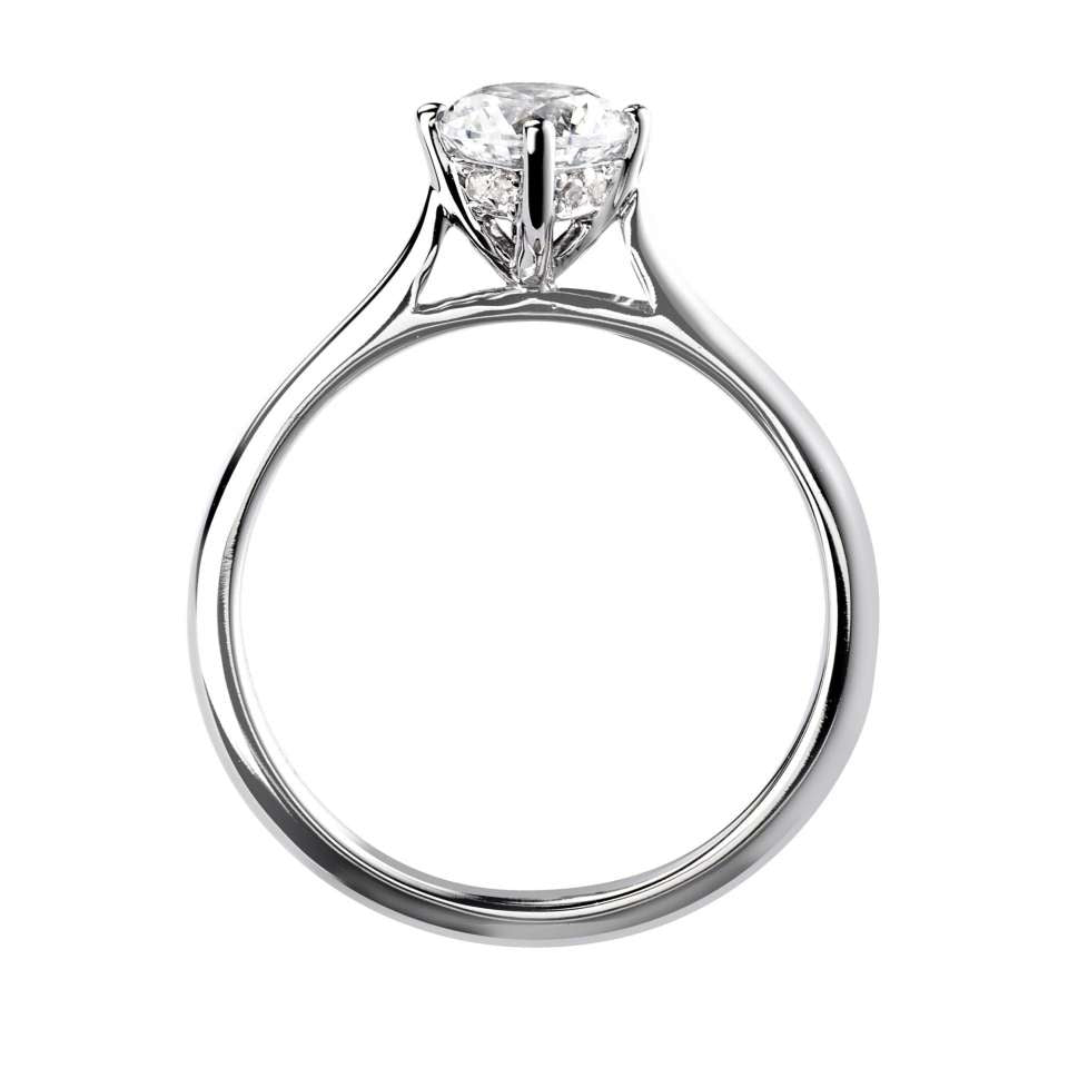 The Bluebell Platinum 0.30ct Round Brilliant Cut Diamond Solitaire Engagement Ring With 0.02ct Diamond Detailing