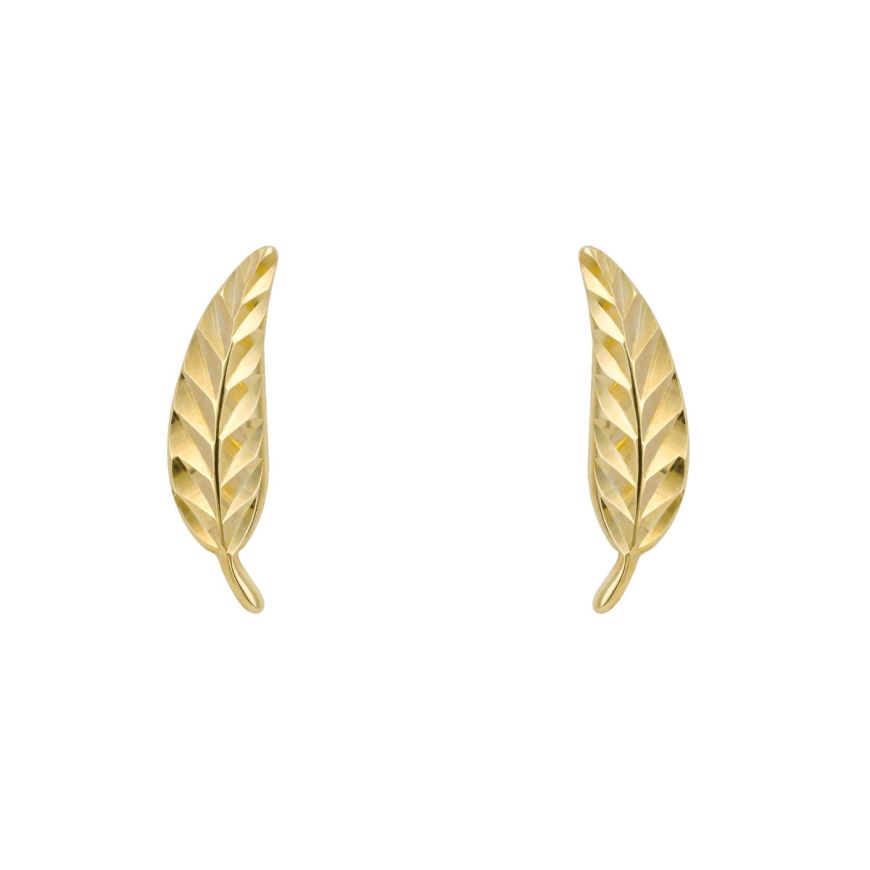 9ct yellow gold feather stud earrings