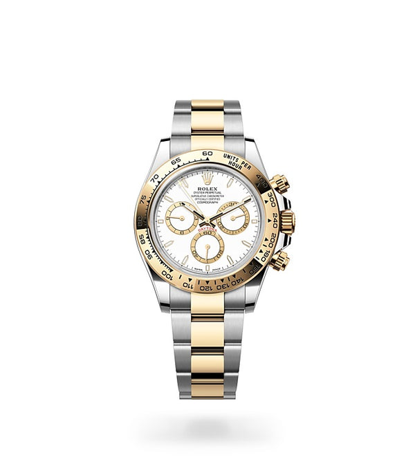 rolex m126503-0001 watch collection page upright image