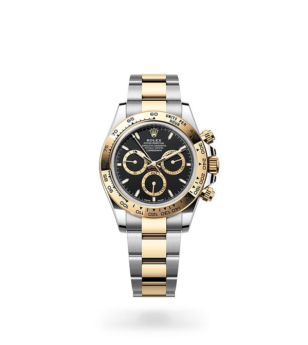 rolex m126503-0003 watch collection page upright image