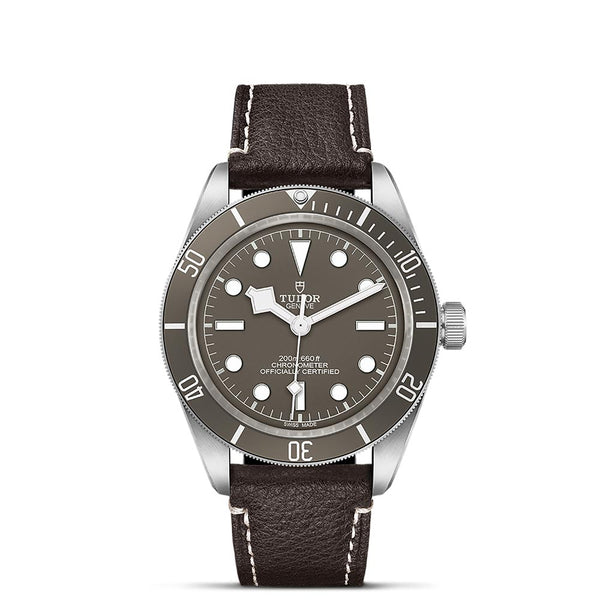 tudor black bay 58 925 silver 39mm taupe dial watch