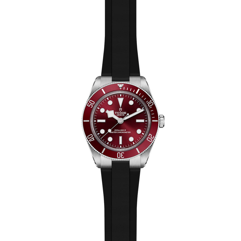 TUDOR Black Bay 58 39mm Burgundy Dial Watch M7939A1A0RU-0003