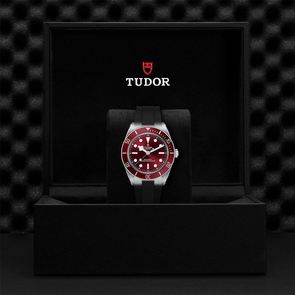 TUDOR Black Bay 58 39mm Burgundy Dial Watch M7939A1A0RU-0003