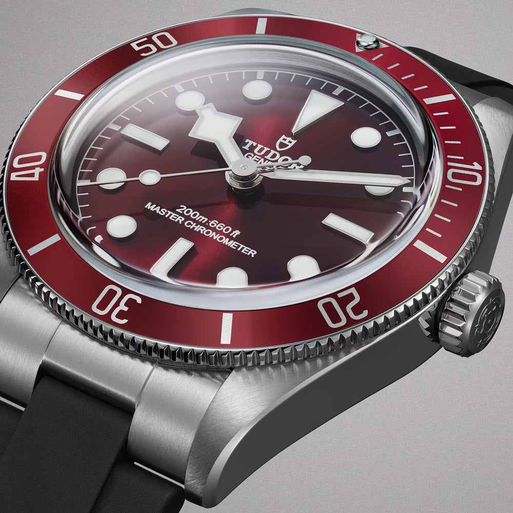 TUDOR Black Bay 58 39mm Burgundy Dial Watch M7939A1A0RU-0003