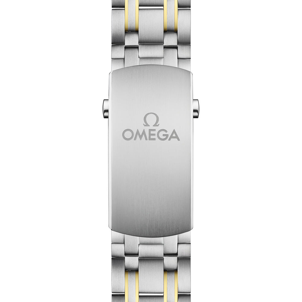 OMEGA Seamaster Diver 300M 42mm Black Dial 18ct Gold & Steel Automatic Gents Watch 21020422001002