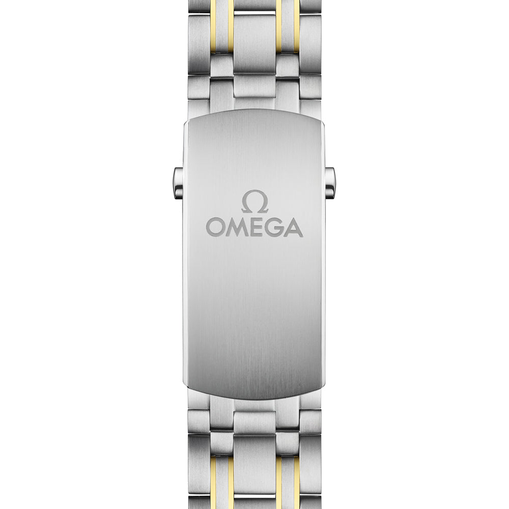 OMEGA Seamaster Diver 300M 42mm Blue Dial 18ct Gold & Steel Automatic Gents Watch 21020422003001