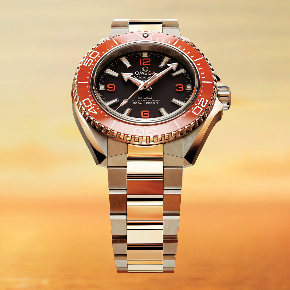 OMEGA Seamaster Planet Ocean 600M 42mm Black Dial Automatic Gents Watch 21730422101003