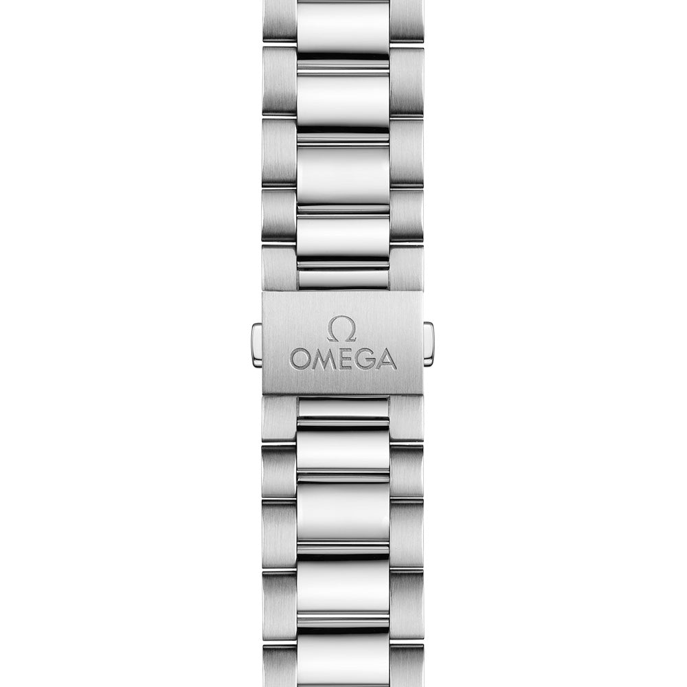 OMEGA Seamaster Aqua Terra 38mm Silver Dial Automatic Watch 22010382002001