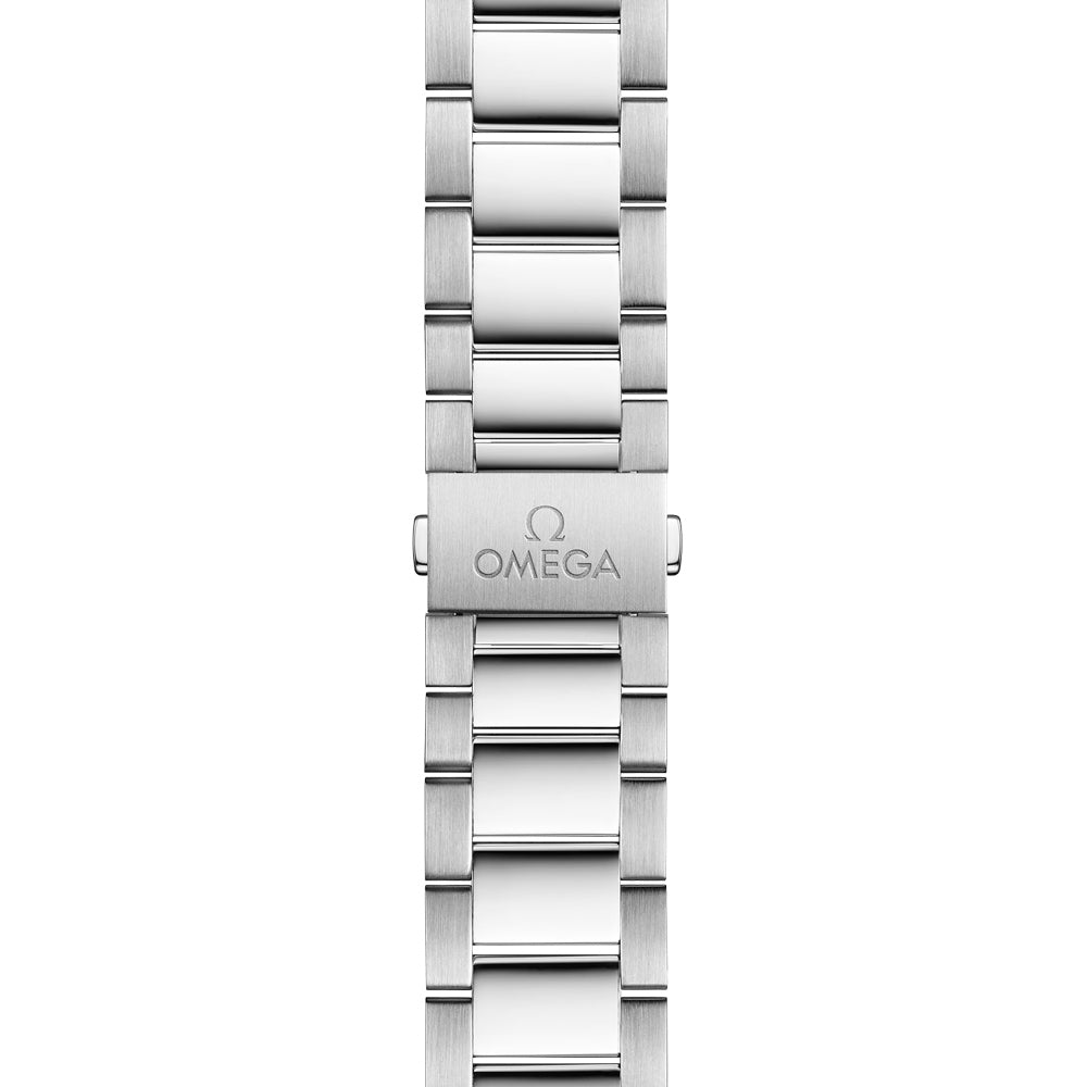 OMEGA Seamaster Aqua Terra 41mm Grey Dial Automatic Gents Watch 22010412106001