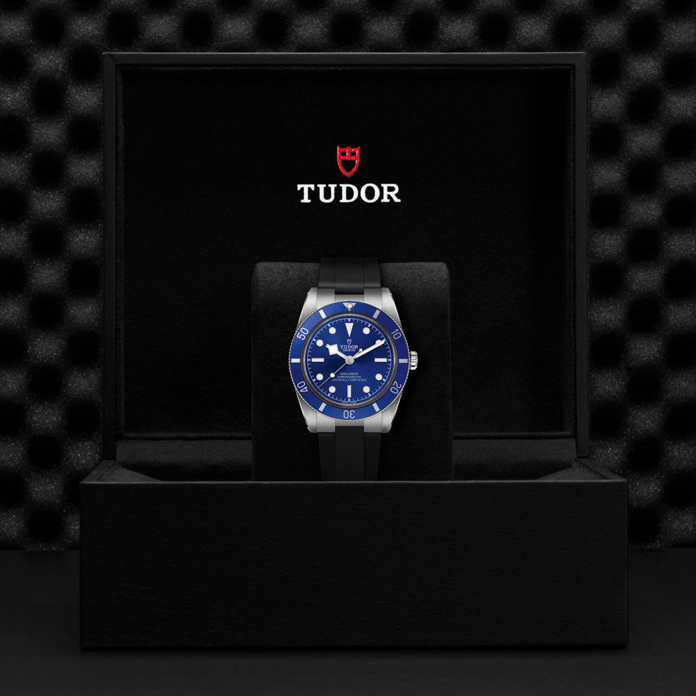 TUDOR Black Bay 54 Blue Dial 37mm Watch M79000B-0002