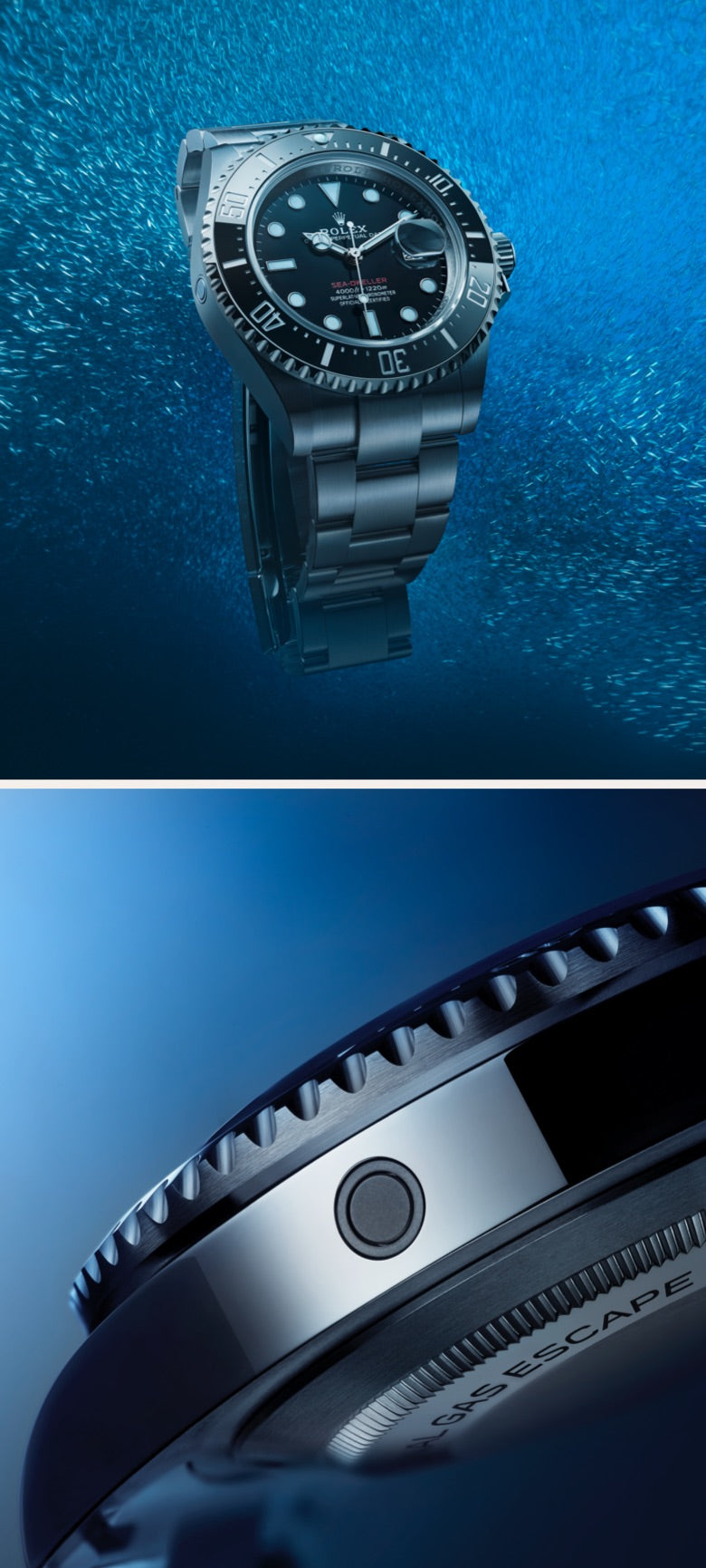 Rolex sea-dweller model m126600-0002 The new face of diving portrait image