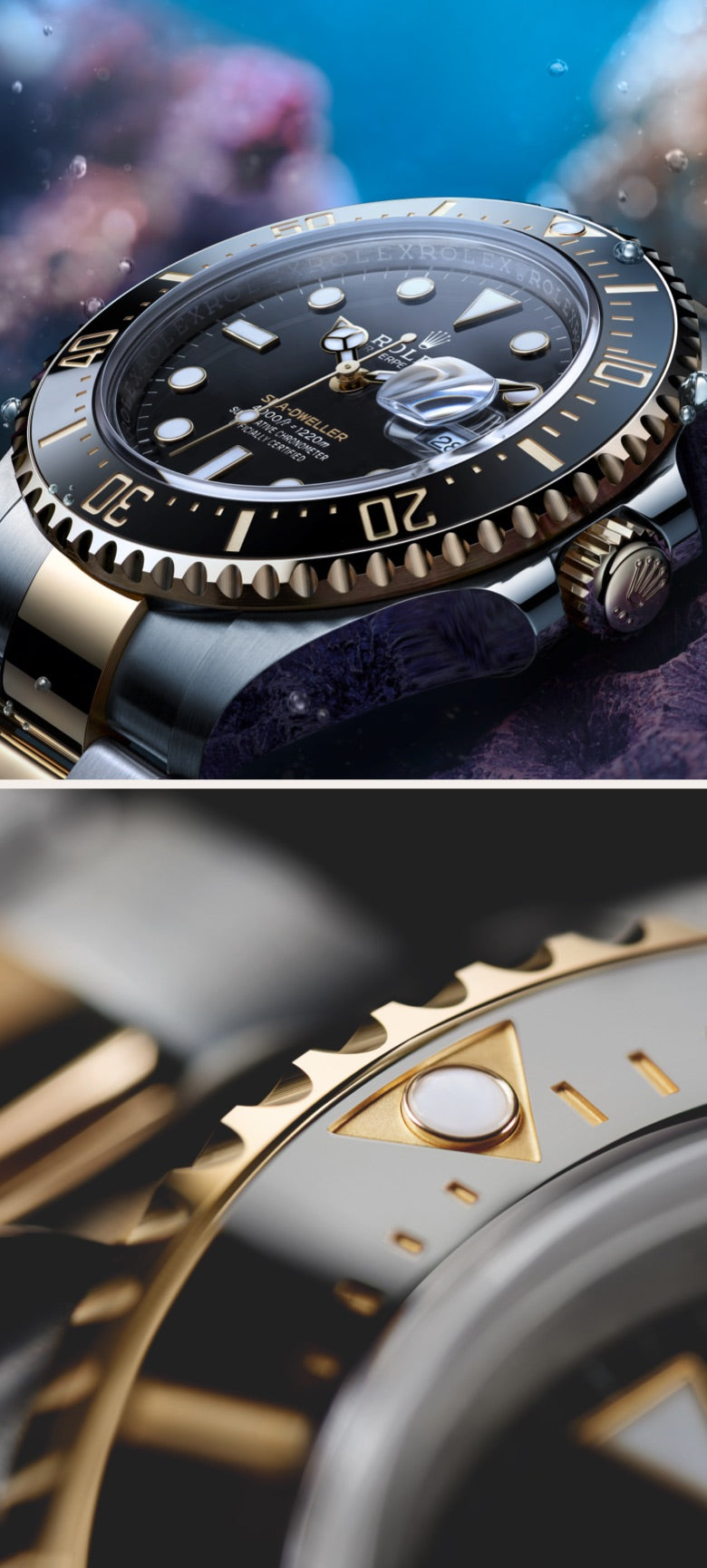 Rolex sea-dweller model m126603-0001 Reinforced waterproofness portrait image