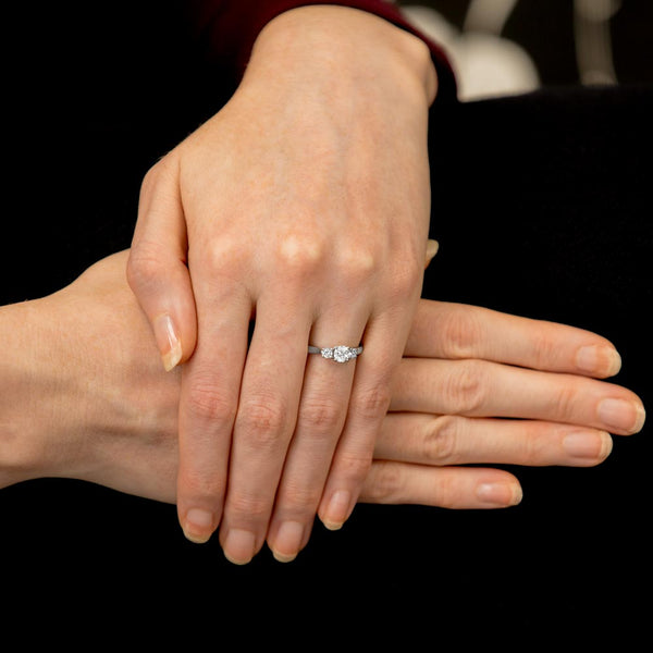 The Bryony Platinum Round Brilliant Cut Diamond Three Stone Engagement Ring