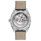 OMEGA Seamaster Aqua Terra 41mm Green Dial Automatic Gents Watch 22013412110001