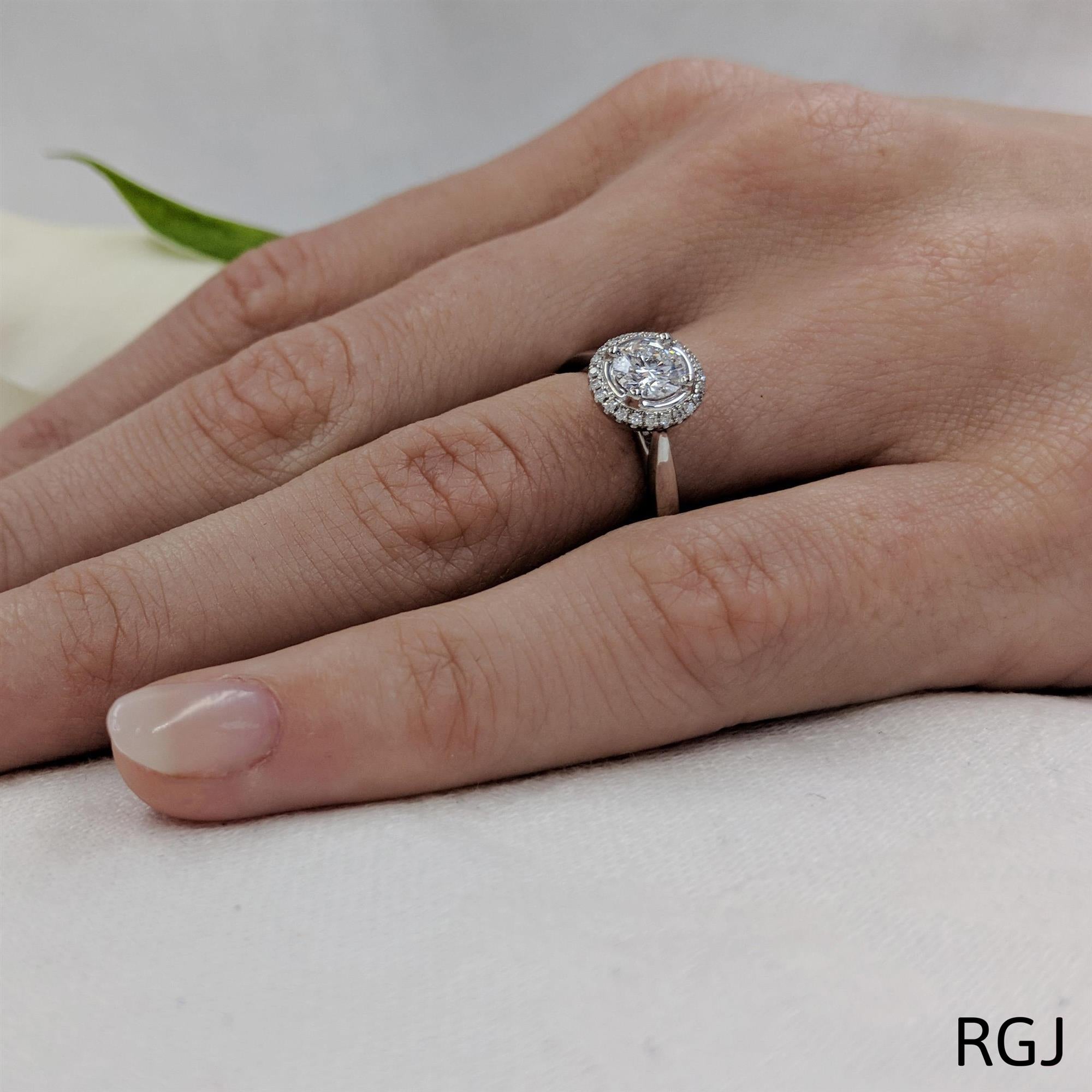 The Skye Petite Platinum Round Brilliant Cut Diamond Engagement Ring With Diamond Halo