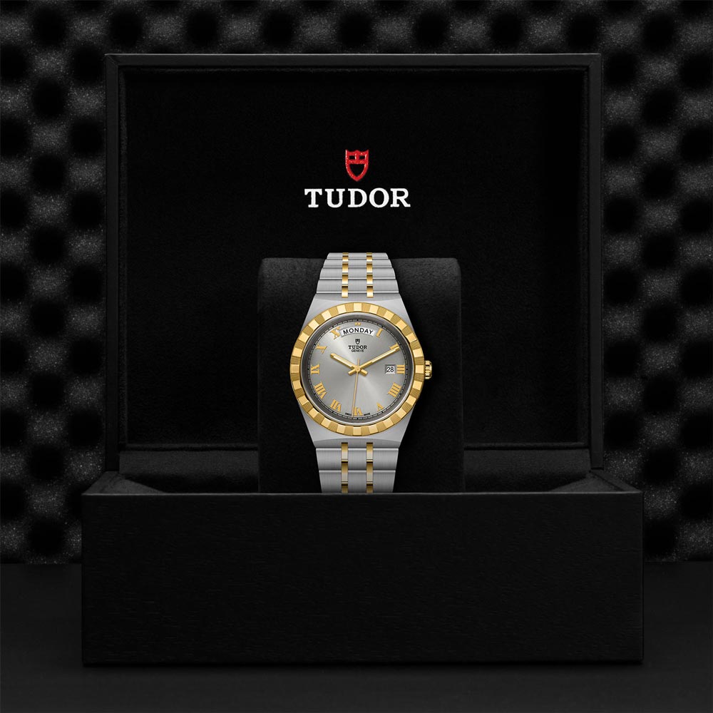 TUDOR Royal 41mm Silver Dial Steel & Gold Gents Watch M28603-0001