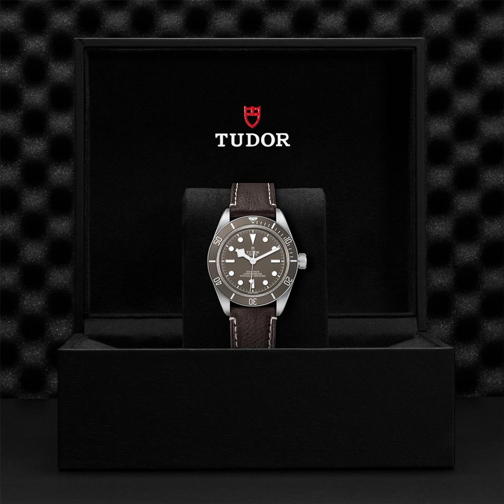 TUDOR Black Bay 58 925 Silver 39mm Taupe Dial Watch M79010SG-0001