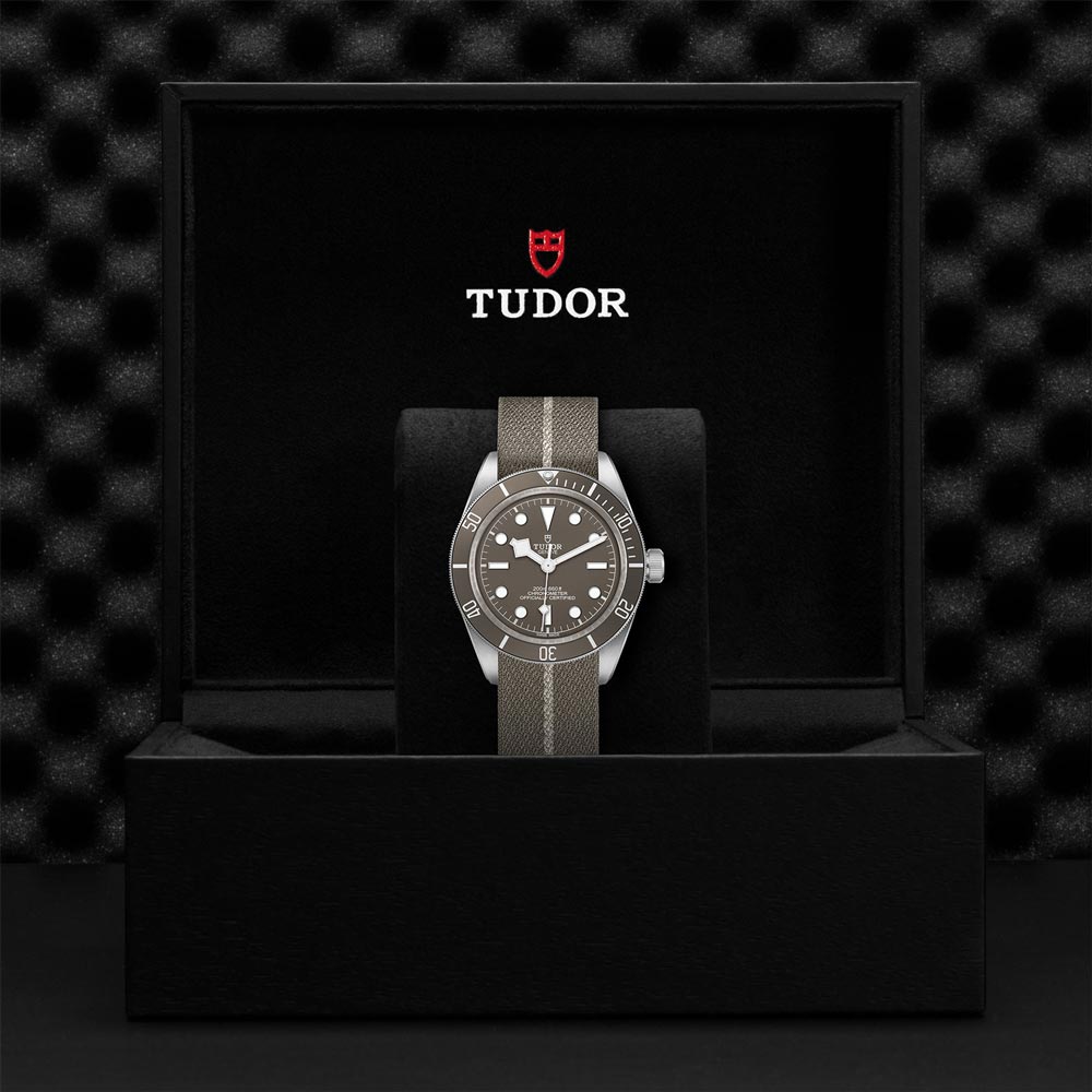 TUDOR Black Bay 58 925 Silver 39mm Taupe Dial Watch M79010SG-0002