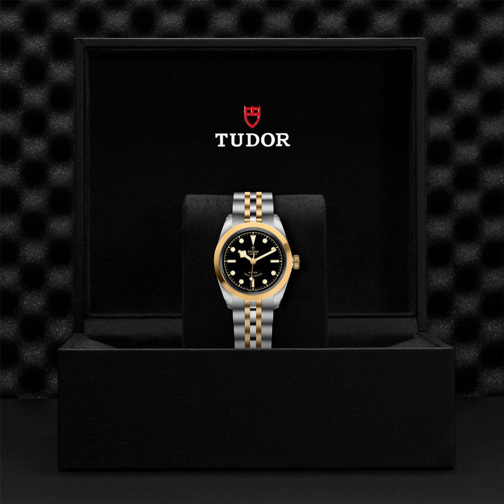TUDOR Black Bay 32 S&G Automatic Watch M79583-0001